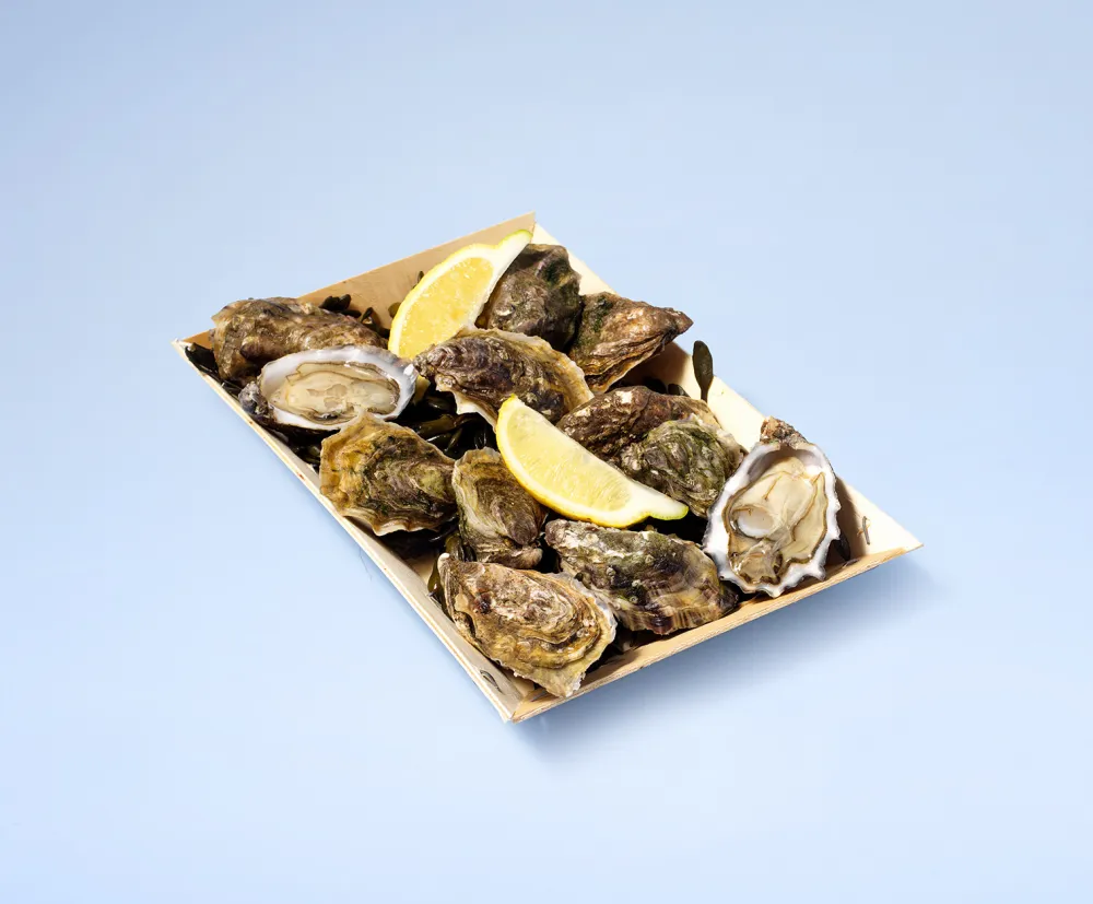 Zeeuwse oesters 'Creuse nr. 3'