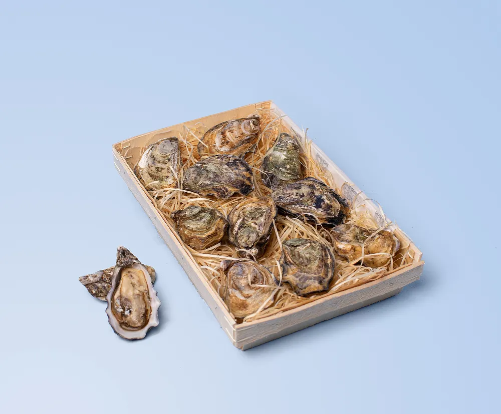 Boudeuse oesters
